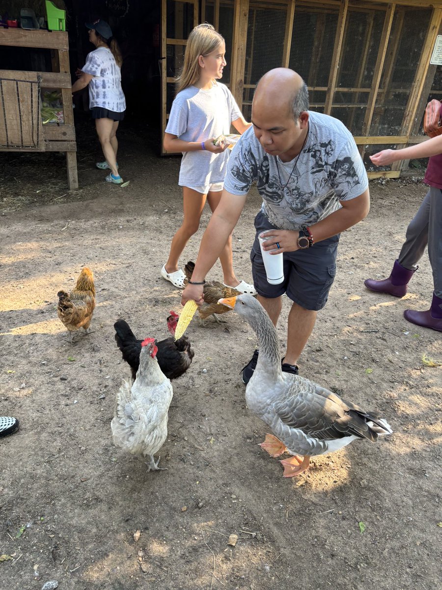 Mrs_DGreen's tweet photo. Team building at its best…visiting an animal rescue farm (The Good Vibes Farms) with my teammates and petting all the animals! #teambuilding @TomballISD @TISDDPES https://t.co/2fwcNMBgp8