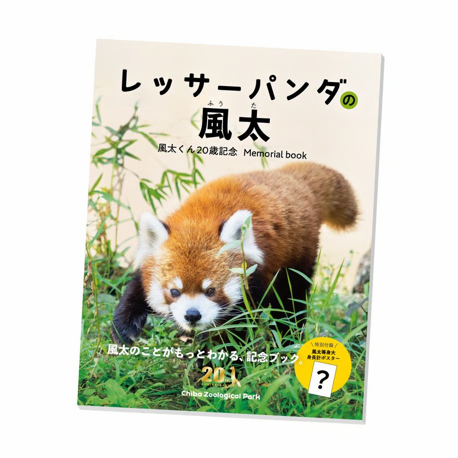 レッサーパンダ様 リクエスト 2点 まとめ商品 レッサーパンダ様 リクエスト 2点 まとめ商品 - メルカリ