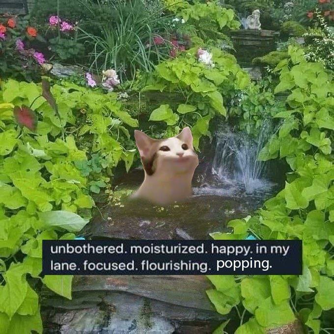 you should be rooting for any coin to go insanely viral and pull a shib type move even if you don’t hold it

we’re really one small catalyst away from roping retail back into crypto markets