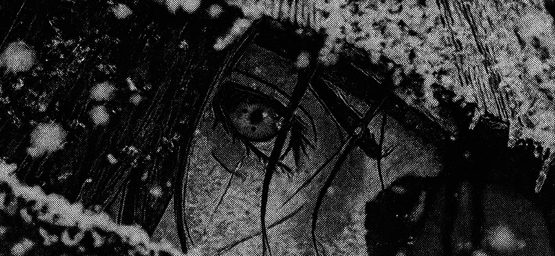 nocturnal tweet media