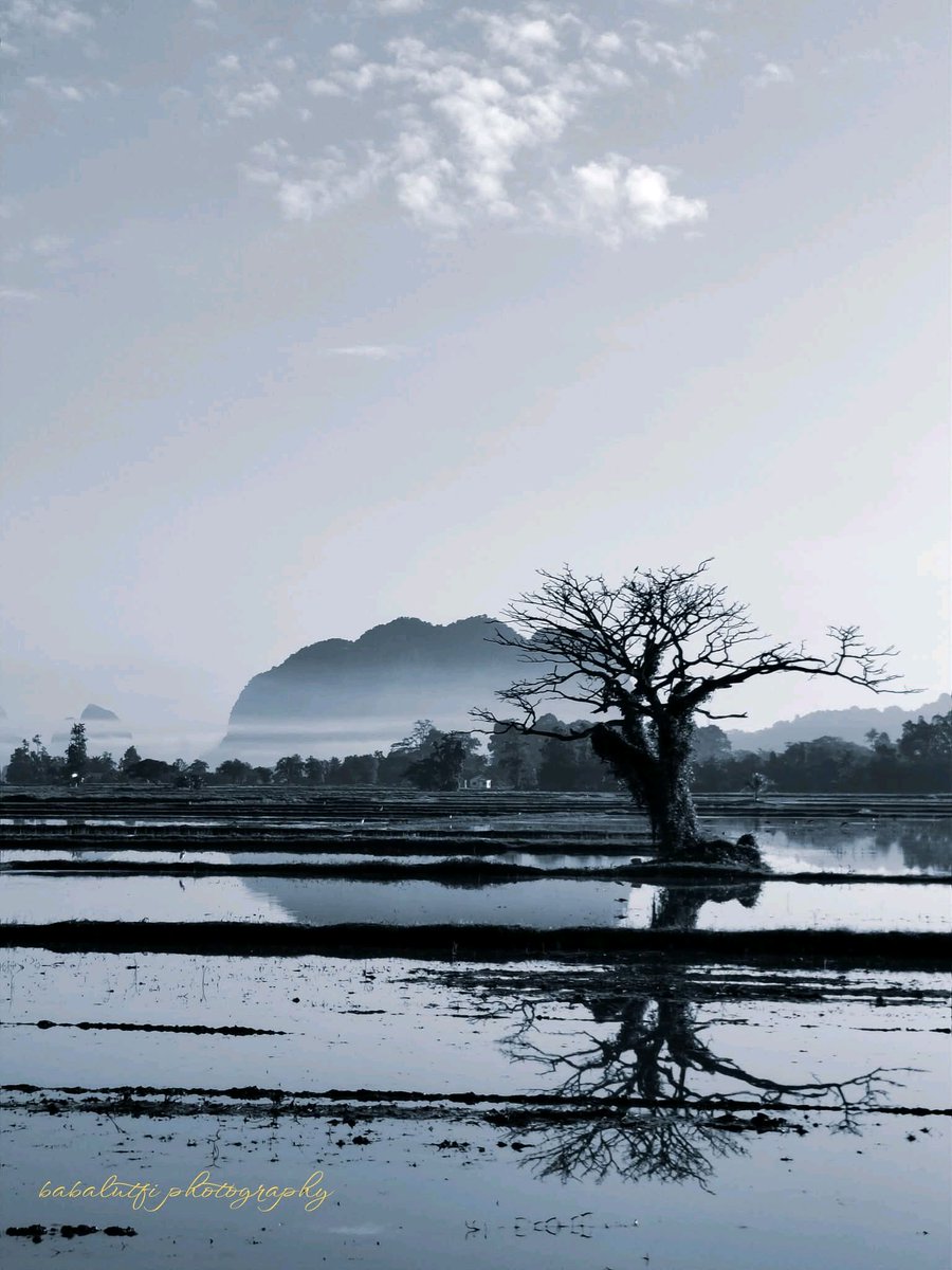 SALAM PERLIS

6 Ogos 2025 | 12 Safar 1447H

Selamat Pagi | Jejawi, Perlis 

Kredit 📸 : Mohd Daud Ahmad

#PerlisPermai #SelamatPagi #SalamPerlis #VisitPerlis #TahunMelawatPerlis #TMP20242025 #Perlis💛💙 #Malaysia🇲🇾
