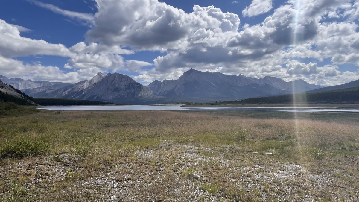 RyderDAR's tweet image. Today's lunch views while out volunteering. Couldn't pick just one.