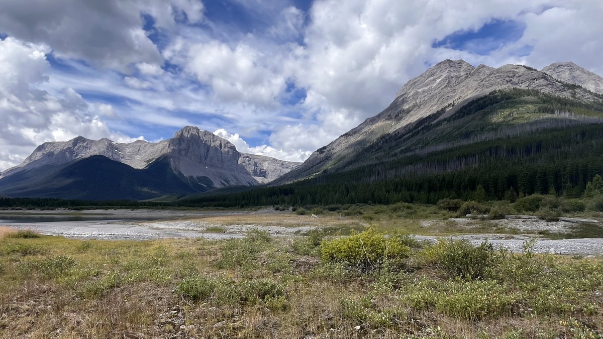 RyderDAR's tweet image. Today's lunch views while out volunteering. Couldn't pick just one.