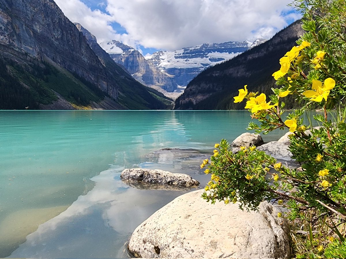 Mark Milleker tweet media