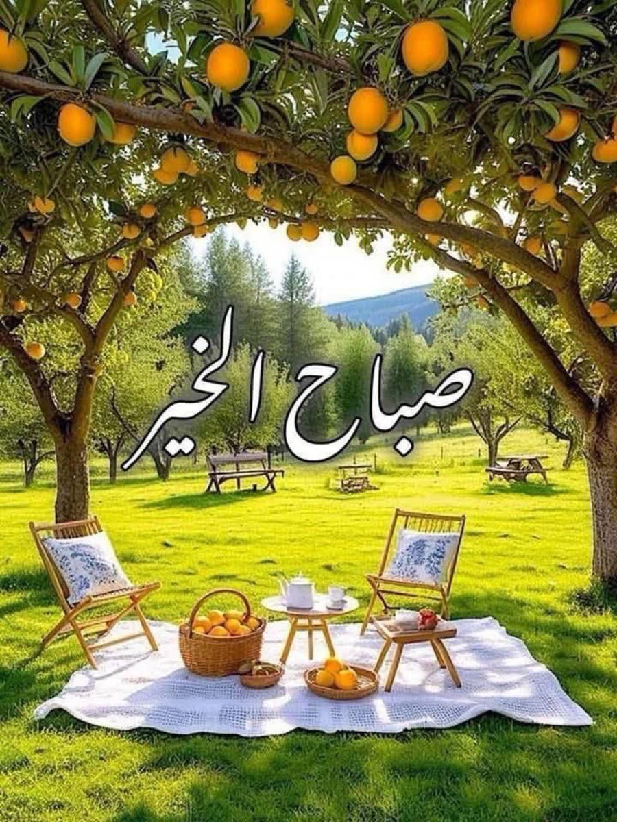صَبآح مُعطّر برآئِحة الجُوري ..  صَبآح زآهي بلونِ الزُهور🌸🌺🌼🕊️🦋

#صباح_الخير