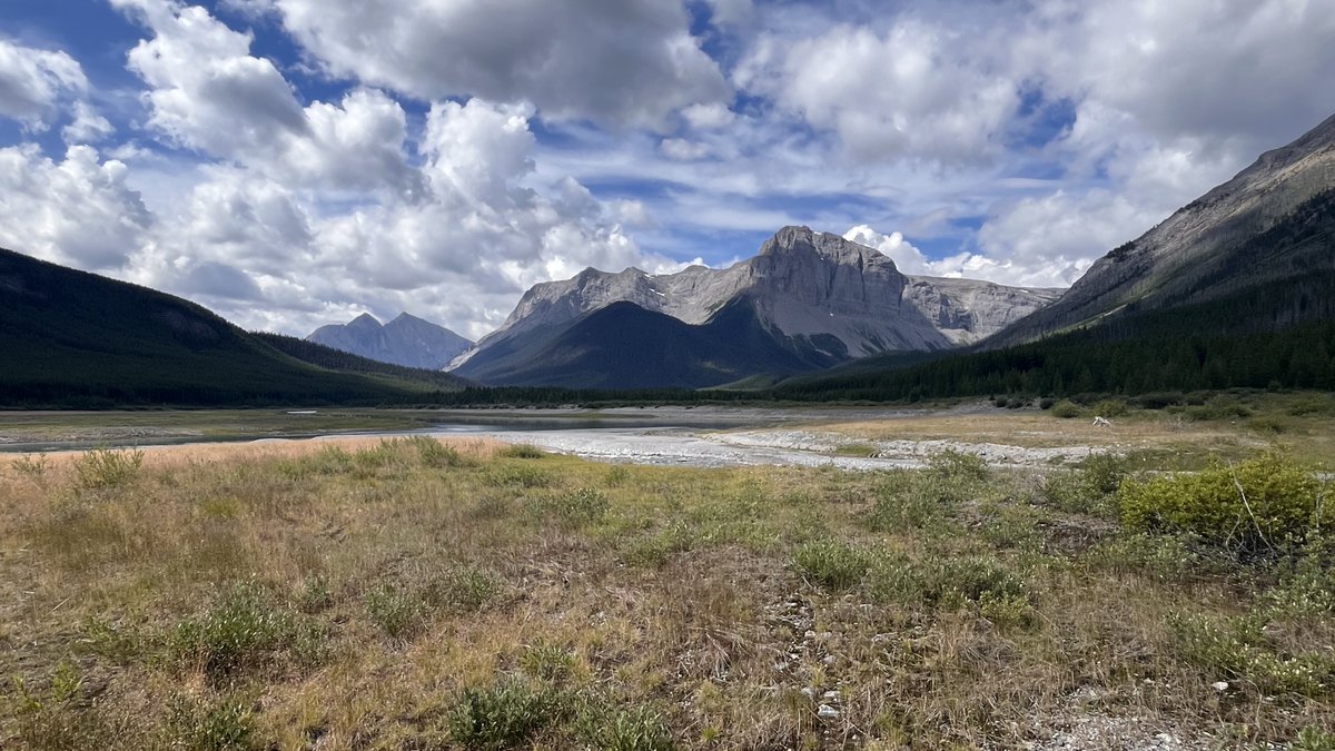RyderDAR's tweet image. Today's lunch views while out volunteering. Couldn't pick just one.