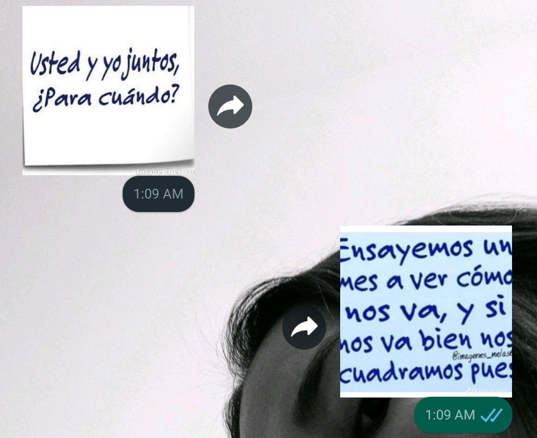 Ensayemos pues