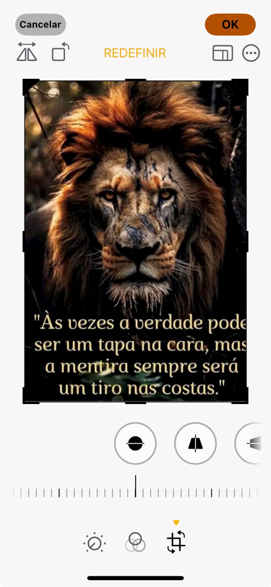 Marinho1Alberto's tweet photo. https://t.co/CvnLJpsmXP
