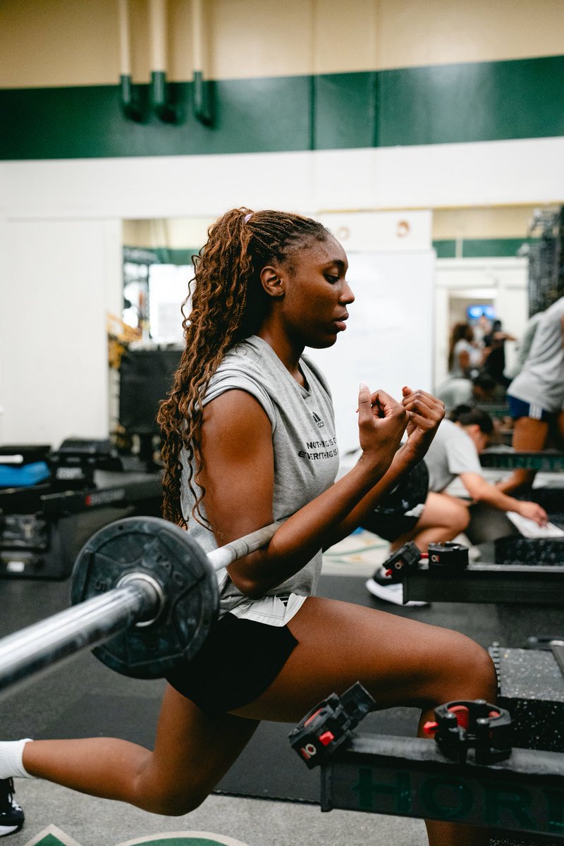 SacStateWBB's tweet image. Win today. 

#StingersUp | #GoHornets