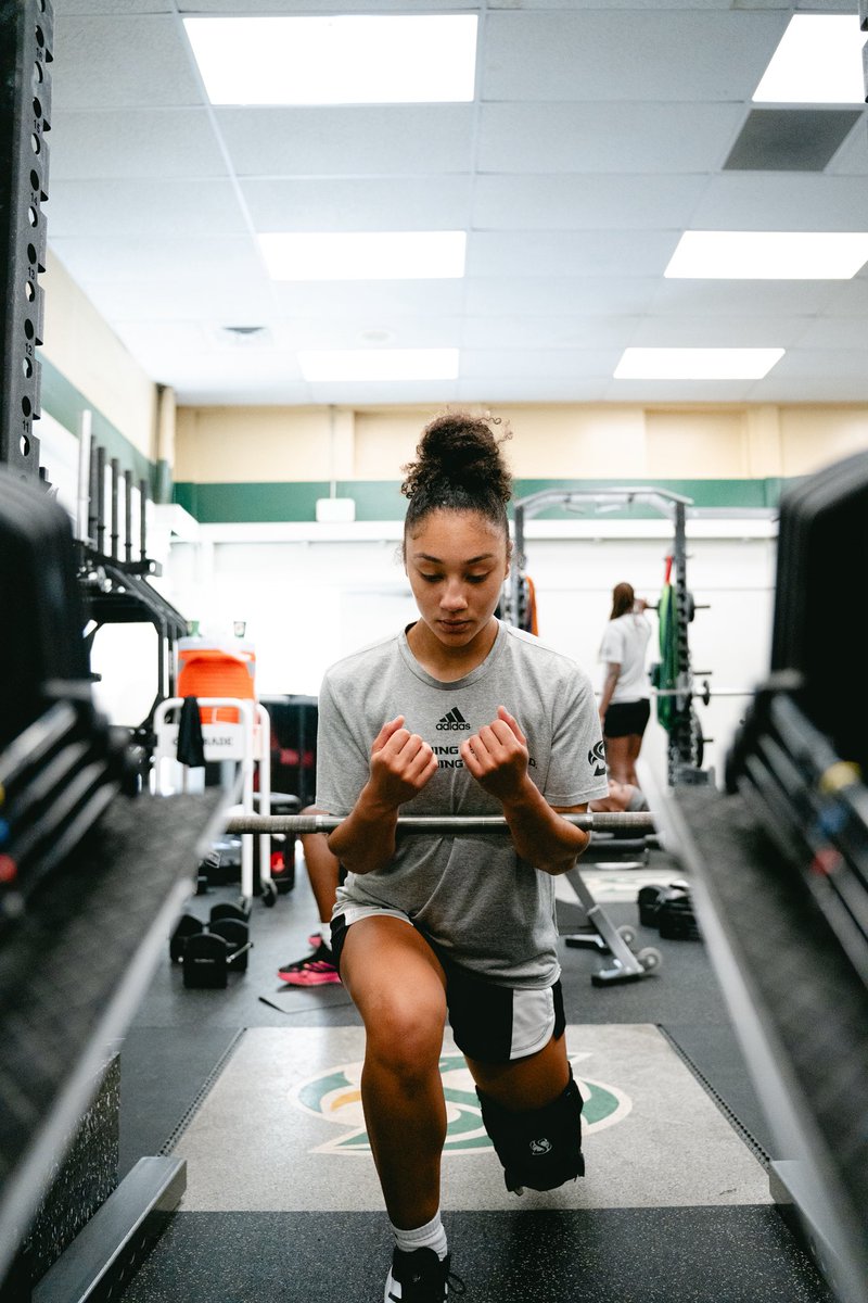 SacStateWBB's tweet image. Win today. 

#StingersUp | #GoHornets