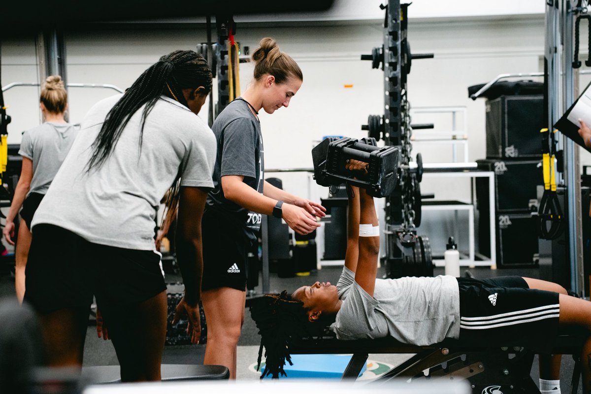 SacStateWBB's tweet image. Win today. 

#StingersUp | #GoHornets