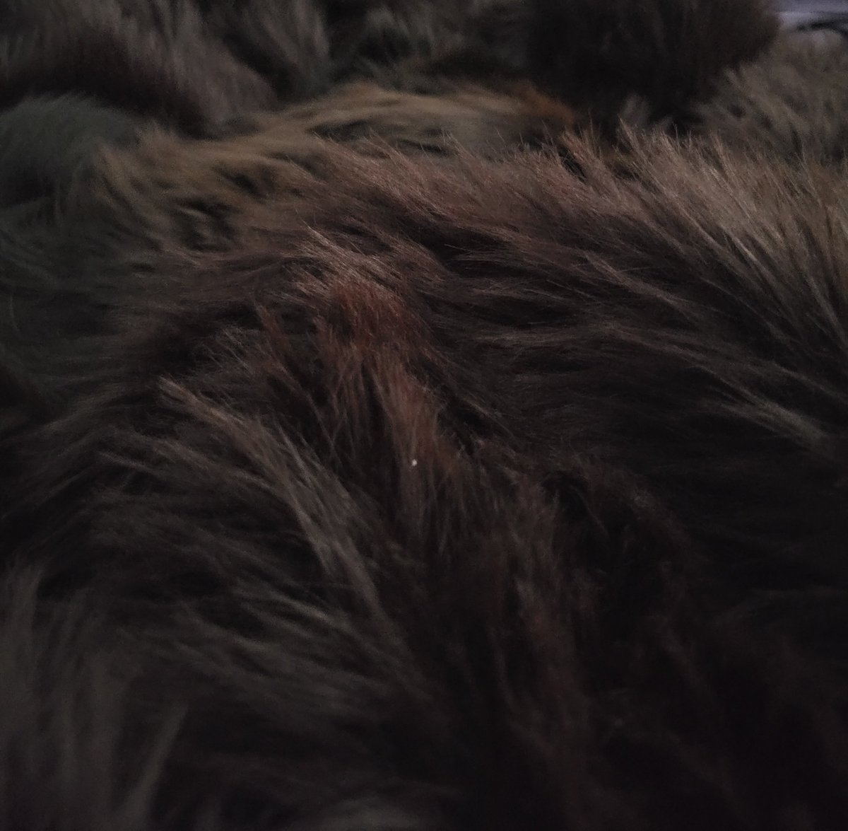 She blends in so well omg