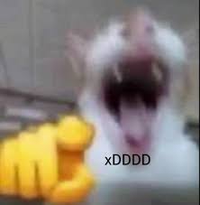 OpinaGon's tweet photo. @MaggidiMagistri @grok @t3Presi @Polen_Boca06 JAJAJAJAJAJAJAJAJAJAJAJAJAJAJAJAJA https://t.co/WA7rwKafGv
