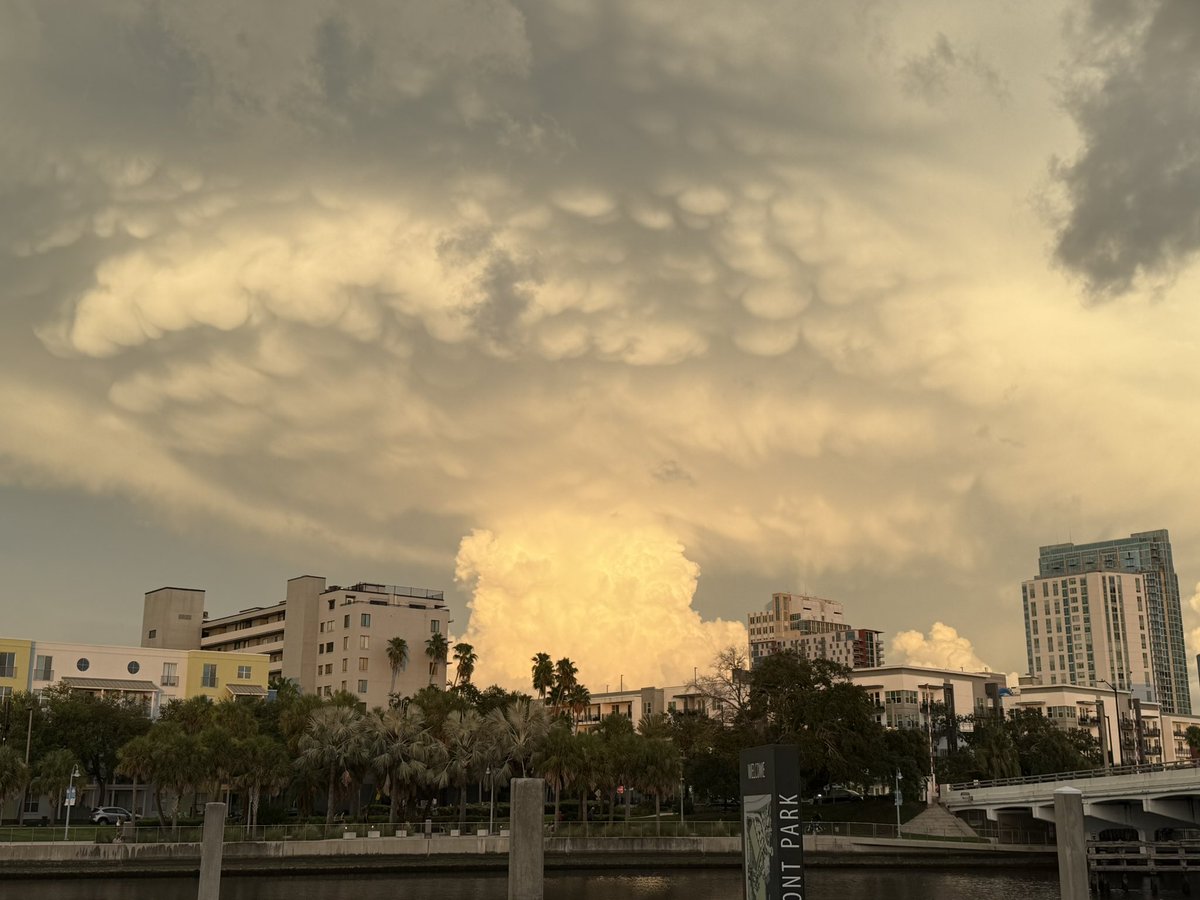 ans929's tweet photo. Super interesting clouds over downtown tampa tonight!! 

 @bn9, @bn9weather https://t.co/3l2VJKQLlq
