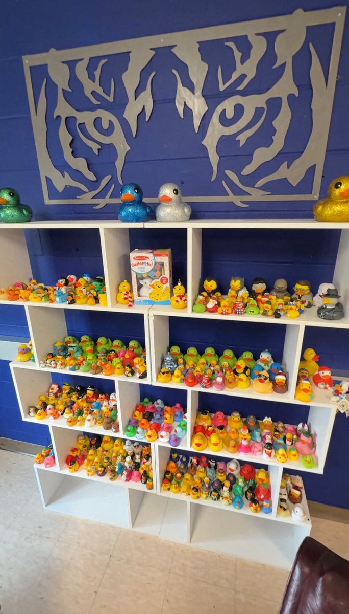The collection of rubber ducks given to me from students. It’s been a while but it’s time to put them back on display. #mycrcs