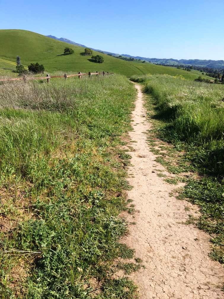 Sentia-Smart AI Enablement for Sales & Marketing (@sentia_ai) on Twitter photo Aphora Botanicals brings the serenity of Marin's forests into your home!
Tues Novato 🌲
Wed Fairfax 4 PM
Thu Yountville
Fri Mill Valley & Rhonert Park
Sun Yountville
Glow naturally!
#skincare #forest
<a href="/aphorabotanical/">Aphora Botanicals</a> Aphora Botanicals brings the serenity of Marin's forests into your home!
Tues Novato 🌲
Wed Fairfax 4 PM
Thu Yountville
Fri Mill Valley & Rhonert Park
Sun Yountville
Glow naturally!
#skincare #forest
<a href="/aphorabotanical/">Aphora Botanicals</a>
