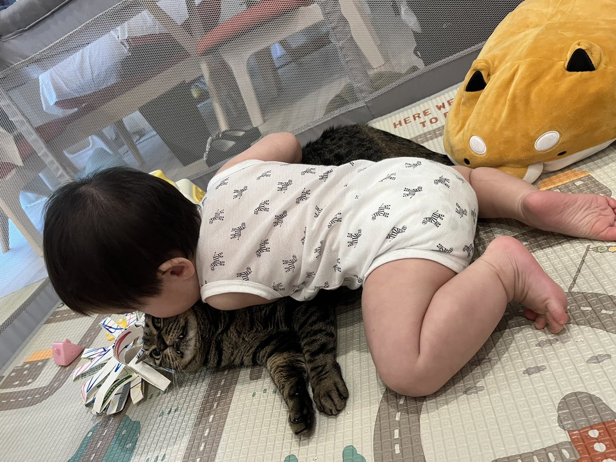 今日の8月6日と8月9日、少しの時間でも平和について考えたり願ったりする日に。
我が子を含めて、これから生まれてくるたくさんの命のためにも平和が続いていきますように。
そんな我が子は保育園に通いだし、見事に風邪をいただき、両親ももれなくいただきました🤧