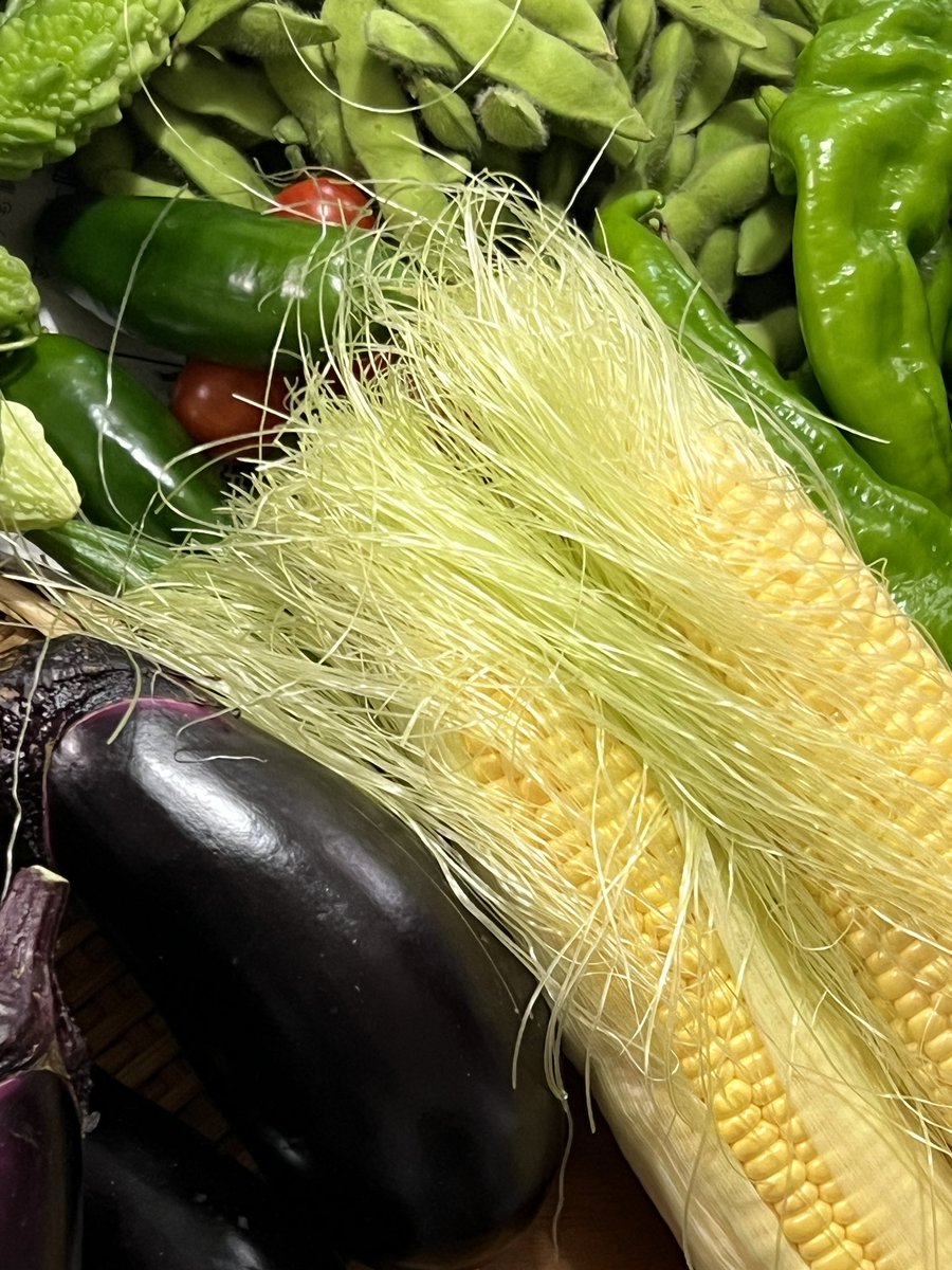 トウモロコシのヒゲって食べれるの？
生で食べたけど草っぽい味だった🌱