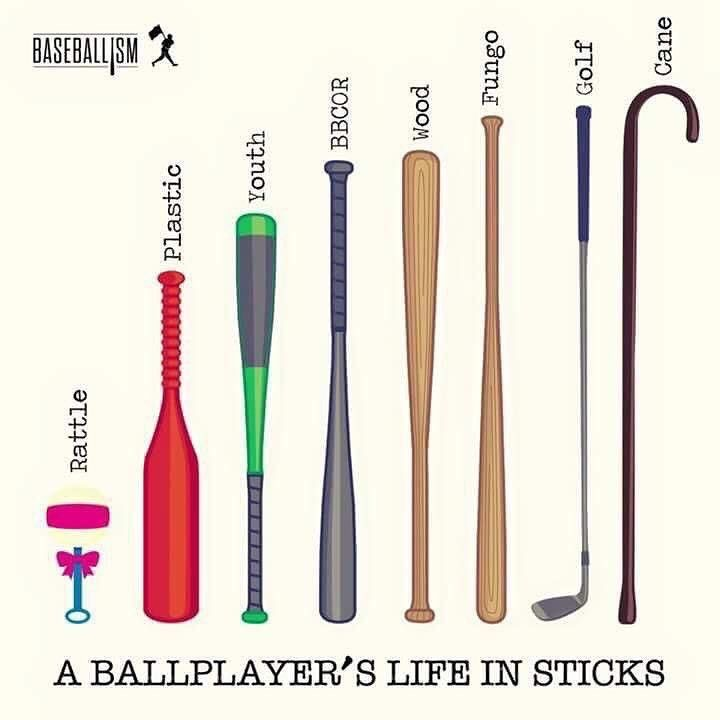 BBGreatMoments's tweet photo. A ballplayers life in sticks
https://t.co/SPoySpEl0j