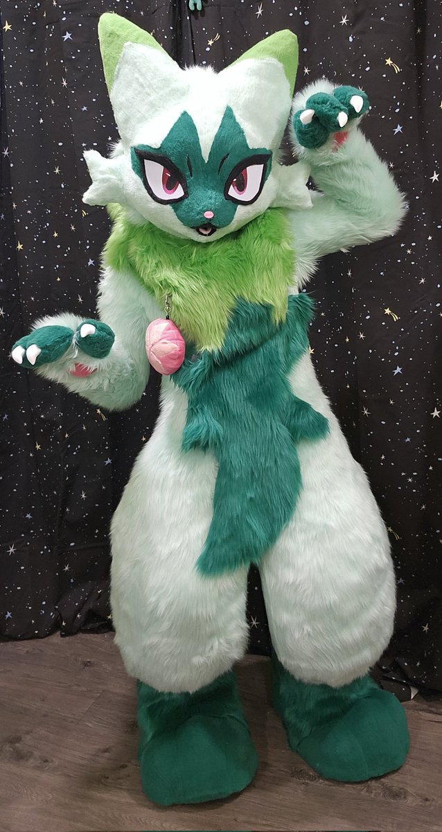 Someone give this kitty a home!!