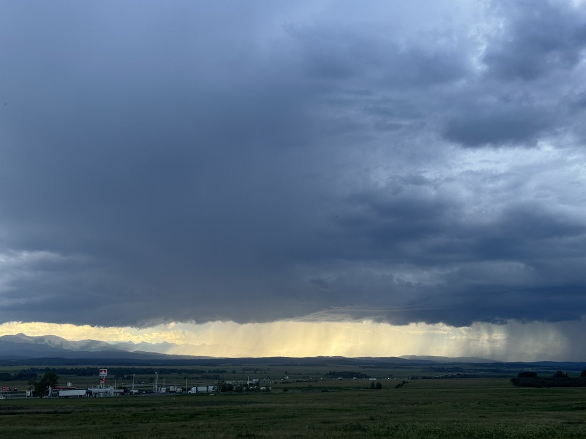 Mitchell Graf tweet media