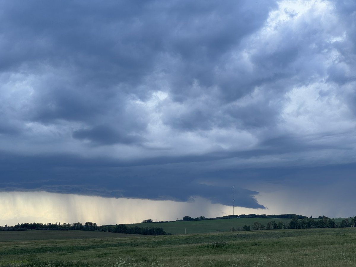 Mitchell Graf tweet media