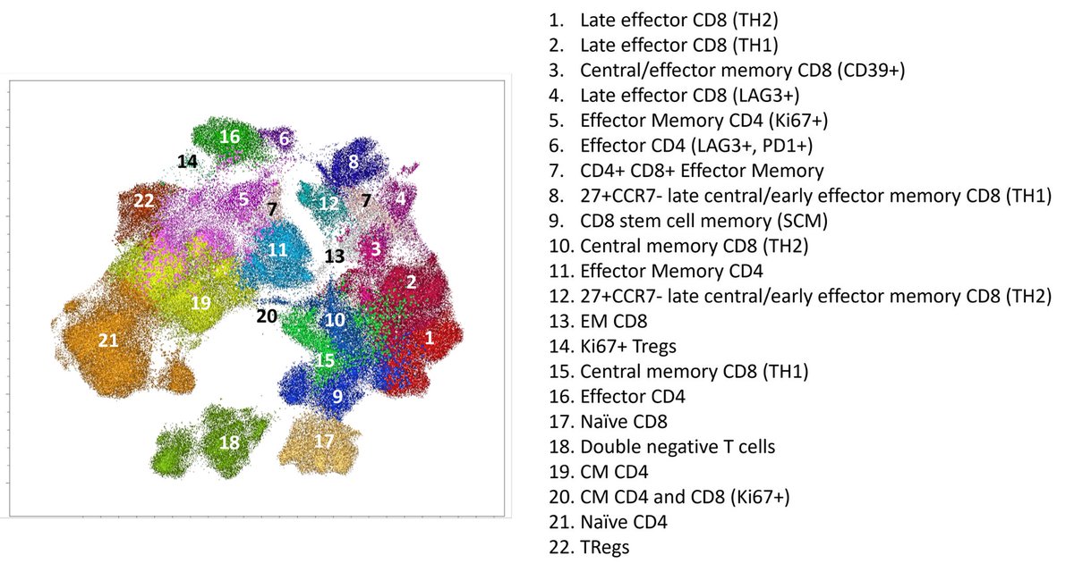 🚨 The power of spectral flow cytometry in #Immunology &amp; #leukemia #lymphoma profiling 💪
✅ High-dimensional, protein-level insights
✅ Rapid, single-cell resolution
✅ Outperforms RNA-seq for functional characterization (Protein ≠ mRNA 🧬. (Transcription ≠ Protein exp)