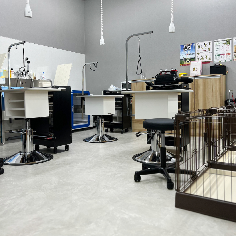 hc_joyfulhonda's tweet image. ／
Pet’sCLOVER『#柏の葉店』が
8/6 (水) 本日グランドオープン！
＼

ペット用品・フードはもちろん
トリミングやペットホテルなど
ペットライフを支えるサービスも充実🙌

皆さまのお越しを心よりお待ちしております😊

ホームページはこちら🔽
 petsclover.com

#ペットショップ…