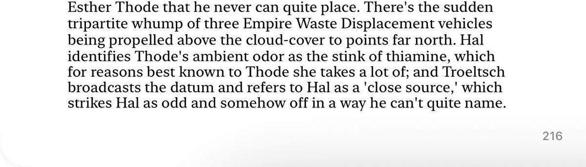 David Foster Wallace knew about thiamine megadosing in the ‘90s