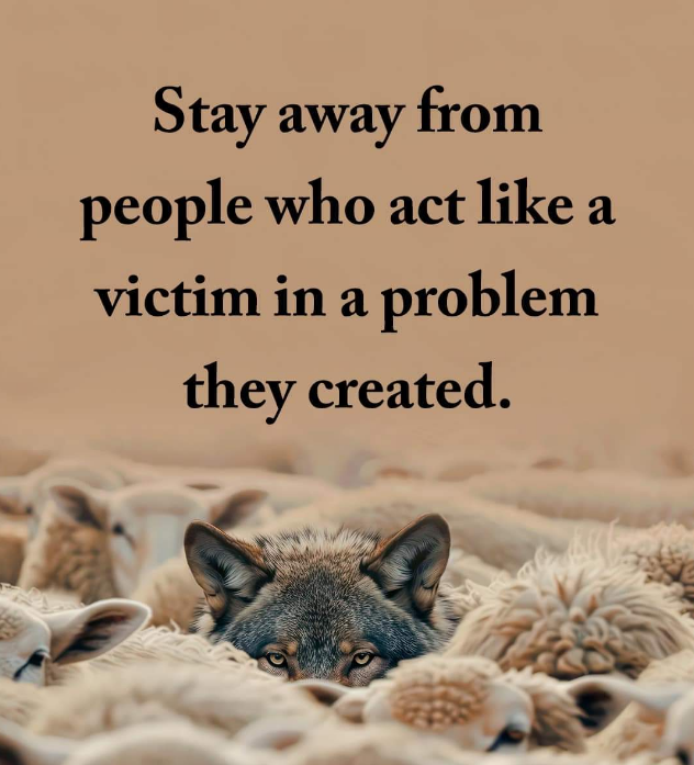 Mindful Maven (@mindfulmaven_) on Twitter photo 