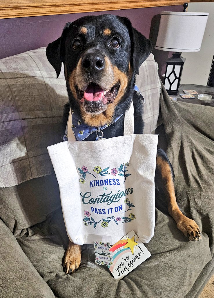 Aug. 5: Work Like a Dog

"My pal Charlie Boo's Mama works like a dog making these super-cute totes and stickers to support her and Charlie. I won one in a Kindness Giveaway &amp; you can get your own at ArtfulBoo.com!" 🐾🐾

#PostaFavPic4VioletAug25
#DogsofTwitter
#DogsofX