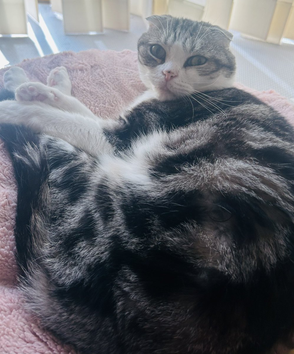 ๐ฆใใใใ๐ฆff14 (@tipplu) on Twitter photo ใใณใใฆใณใๅฏๆใใใ๐
ๅณ่ฒทใ๐
SSใฏๆฎใฃใฆใชใ๐
ใใกใฎใใณใฎๆ๐โฌ๏ธ
#FF14 ใใณใใฆใณใๅฏๆใใใ๐
ๅณ่ฒทใ๐
SSใฏๆฎใฃใฆใชใ๐
ใใกใฎใใณใฎๆ๐โฌ๏ธ
#FF14