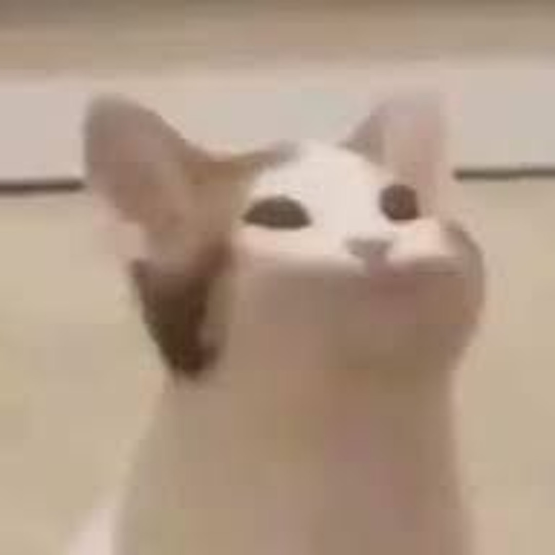 if you love me, stop using "type shit" in your daily vocab