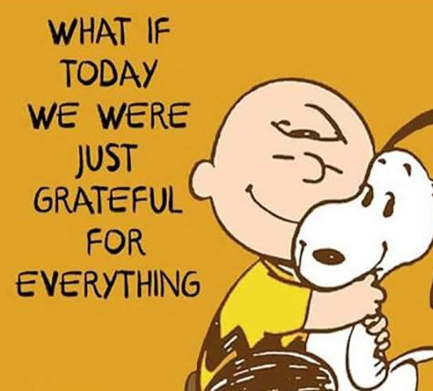 Today was a weak as a kitten day (what I call a puny day), but it's slowly &amp; steadily getting better. I am grateful for your prayers. They're making a big difference. I'll see you all tomorrow with a fresh burst of energy. 🤗 Good night blessings my friends. #PrayTheRosary 🙏