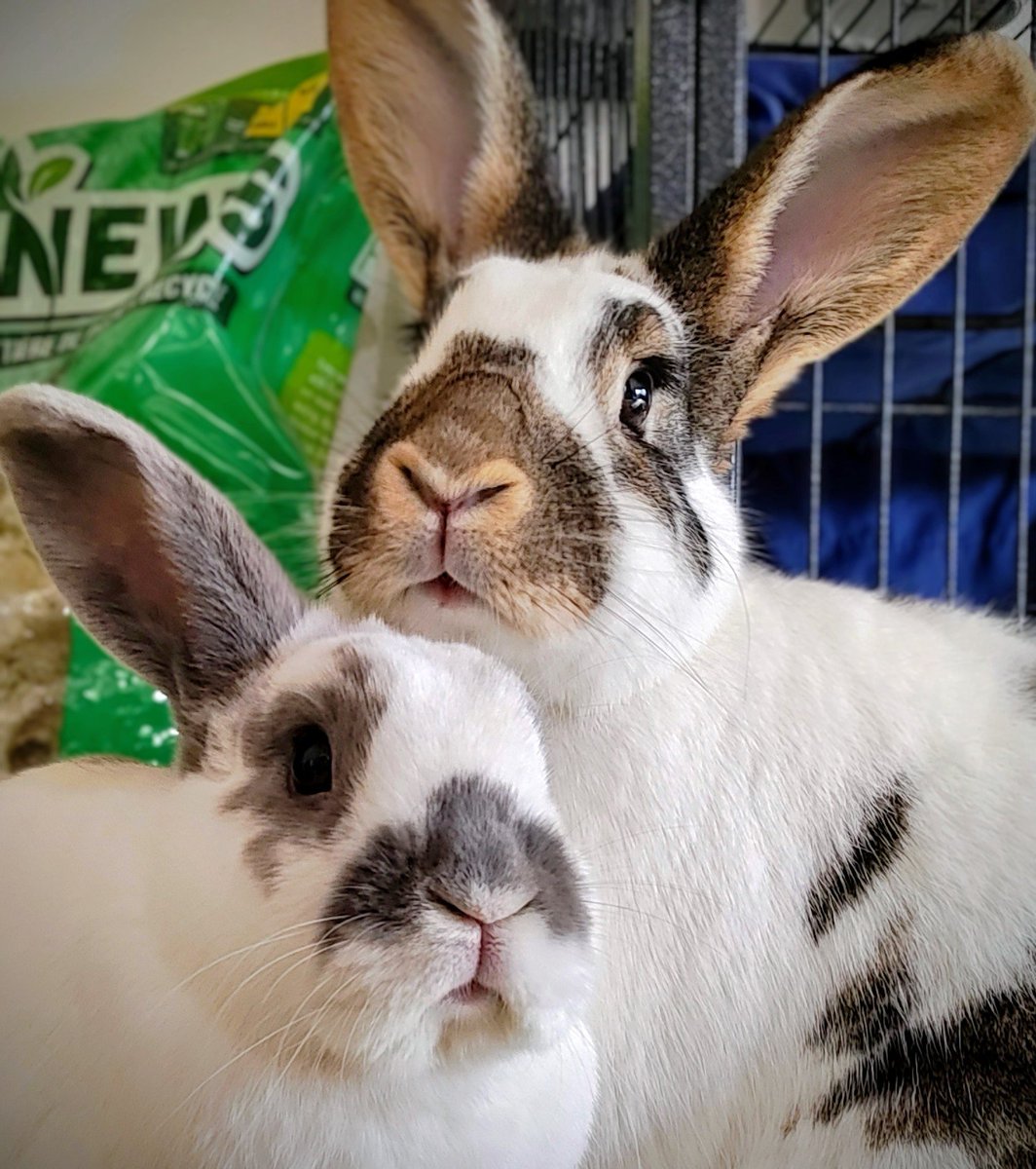 Princess Sephiroth 🍉 tweet media