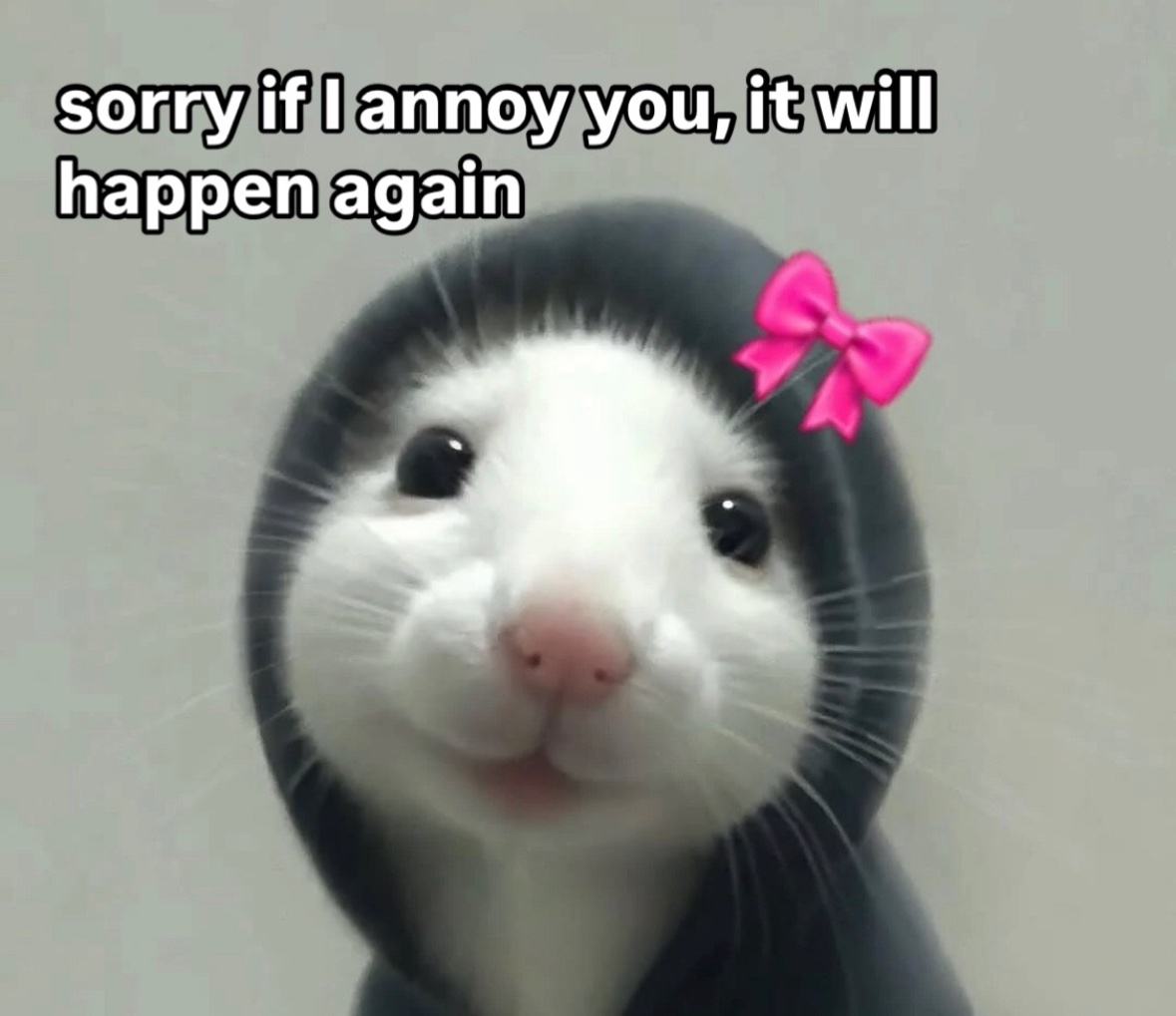 raccoon aesthetic. (@raccoonesthetic) on Twitter photo 