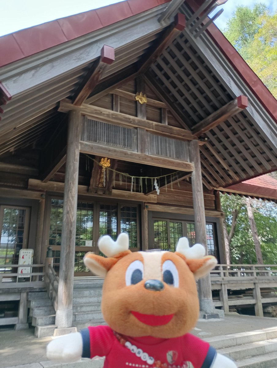 地元の神社で今日の勝利をお願いしました。
#天皇杯_鹿島福岡 #鹿島アントラーズ #すべては勝利のために