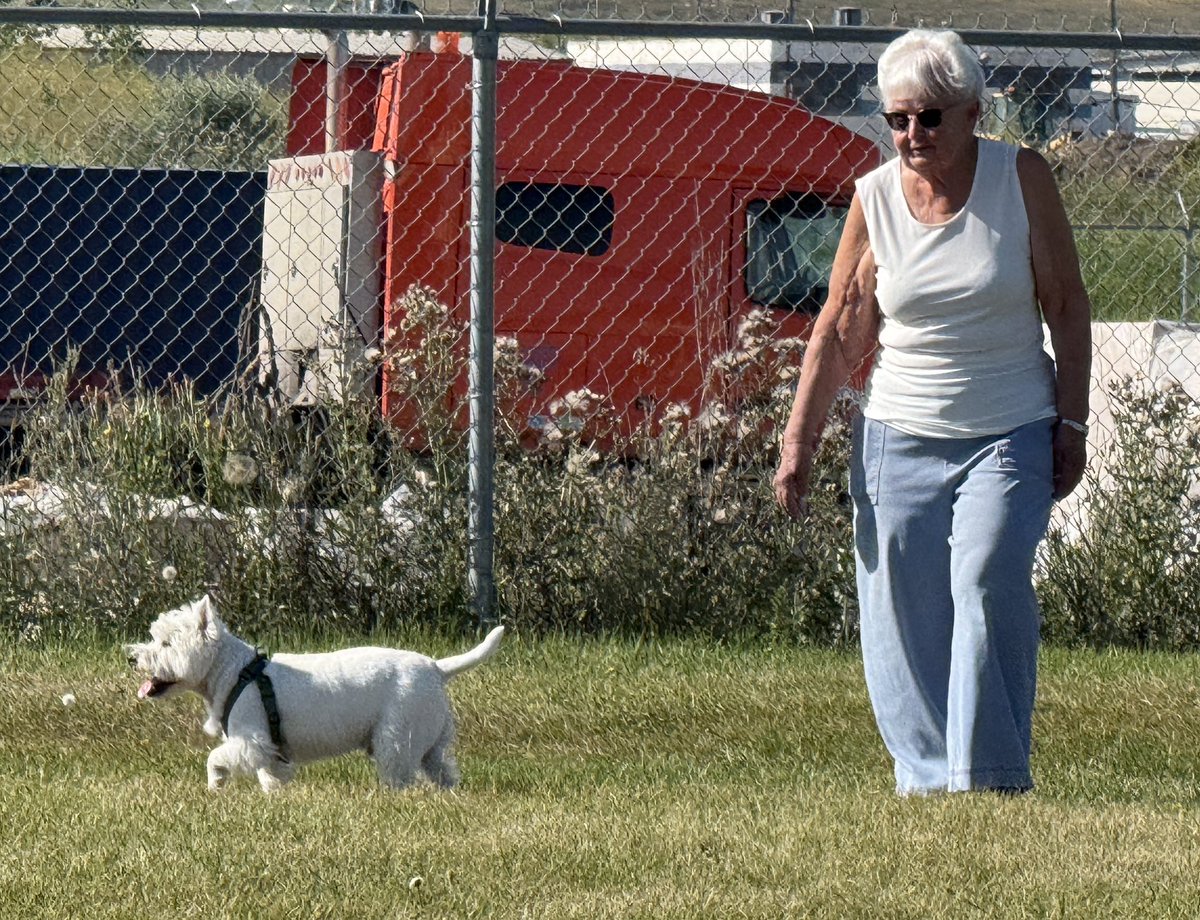 Benji The Westie (@benjicdnwestie) on Twitter photo Hi all my Furray friends , it’s Me & Mom At the Humain Dog park today . Cdn Westie Benji #ZSHQ , <a href="/yegwave/">YEGWAVE</a> <a href="/Angie_baby_25/">Angela ❤️🐶🌈🌞</a> <a href="/snoopysue71/">suzanne masters</a> <a href="/ShaneRe58948084/">SMARTIE PANTS 🌈 HARRY,VIVIANNE AND SHANE</a> <a href="/HeavenWestie/">♡HҽαʋҽɳWҽʂƚie♡</a> Have a great day!!! Hi all my Furray friends , it’s Me & Mom At the Humain Dog park today . Cdn Westie Benji #ZSHQ , <a href="/yegwave/">YEGWAVE</a> <a href="/Angie_baby_25/">Angela ❤️🐶🌈🌞</a> <a href="/snoopysue71/">suzanne masters</a> <a href="/ShaneRe58948084/">SMARTIE PANTS 🌈 HARRY,VIVIANNE AND SHANE</a> <a href="/HeavenWestie/">♡HҽαʋҽɳWҽʂƚie♡</a> Have a great day!!!