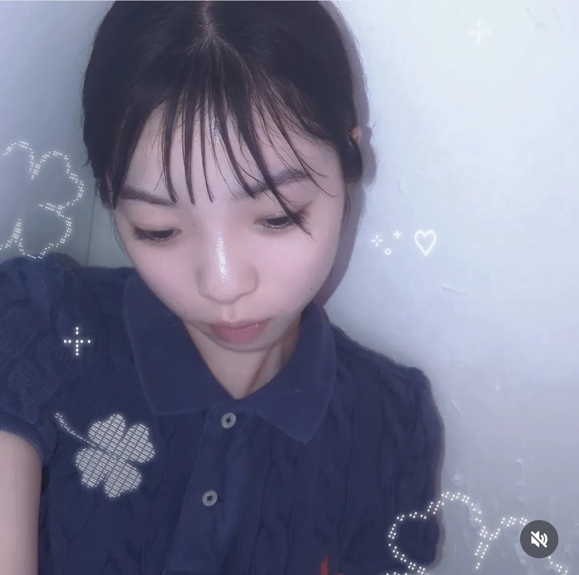 あきちゃん あきちゃん(来世は猫になる！🐾) on X: