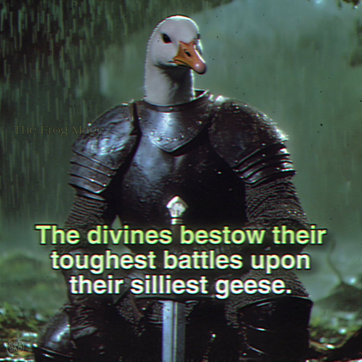 the_frog_mage's tweet image. 