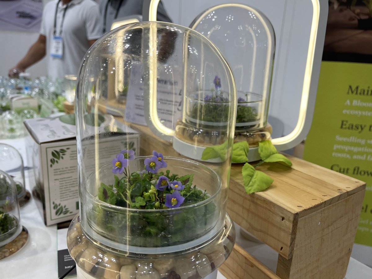 Steve Greenberg (@stevetv) on Twitter photo Checking out new products at <a href="/nynowmarket/">NY NOW®</a> Checking out new products at <a href="/nynowmarket/">NY NOW®</a>