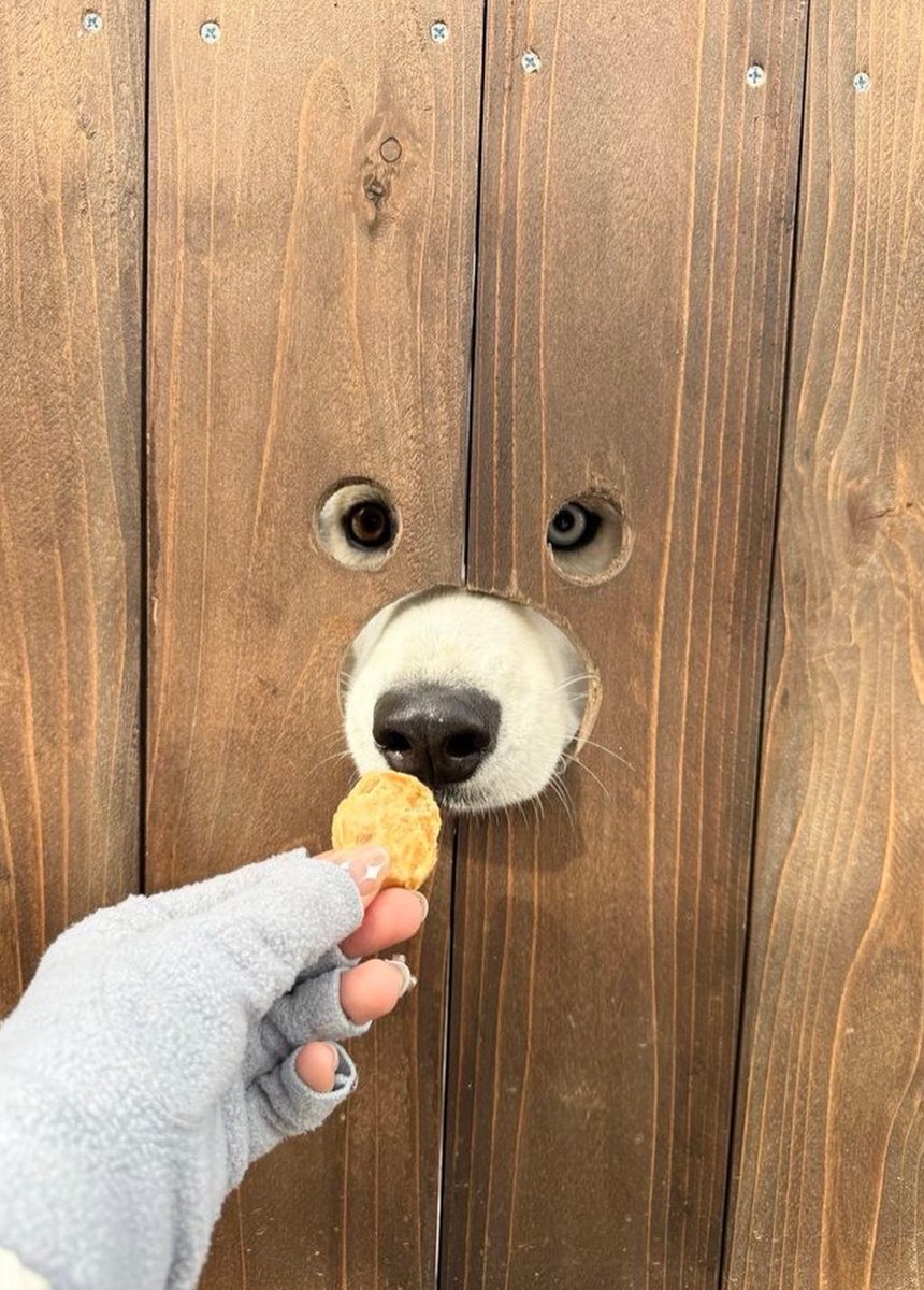 一到夏天就有好多事可以做，到处旅游，和朋友们各种活动，桨板露营桌游趴每天都很充实🥰没有更新的日子都有在好好生活啦，大家也好好享受生活吧～