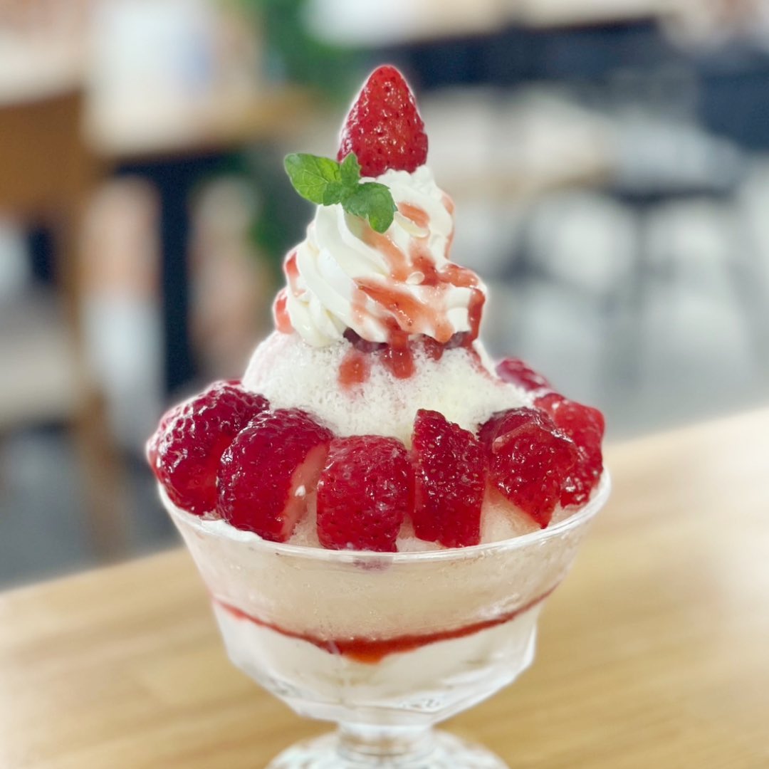 テレビ出演のお知らせ📢 8月13日(水) 15:50～16:50にOHK情報番組「なん