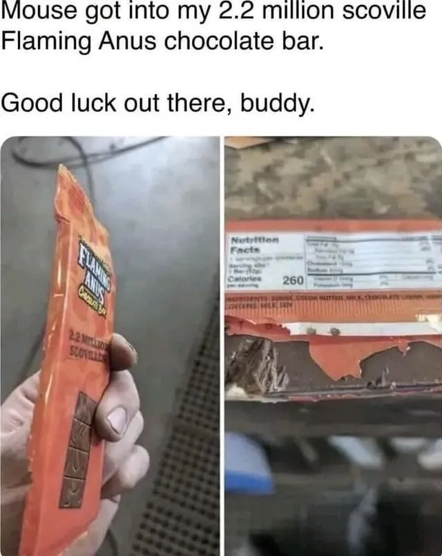 ShitpostGate's tweet photo. https://t.co/2FEu2RNchg