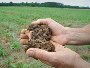 Check out the latest news in conservation drainage - mailchi.mp/ddd671146b61/c…