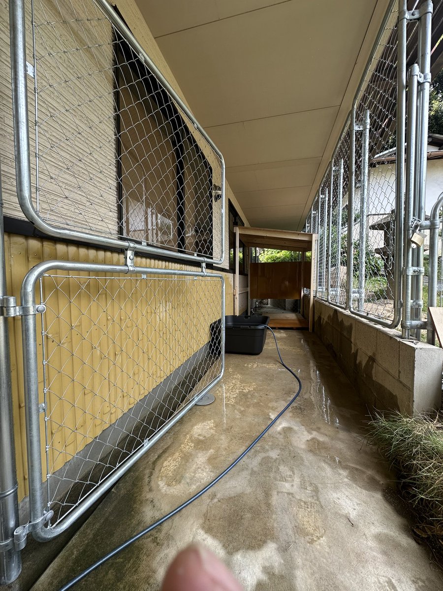 やっと、一時飼育場の檻が完成‼️

1人でこの猛暑の中、作るのはキツかったぁ😵‍💫
今日、無事にお迎えできます！
大きい生体は本当に大変ですが楽しみー✨

#エキゾチックアニマル