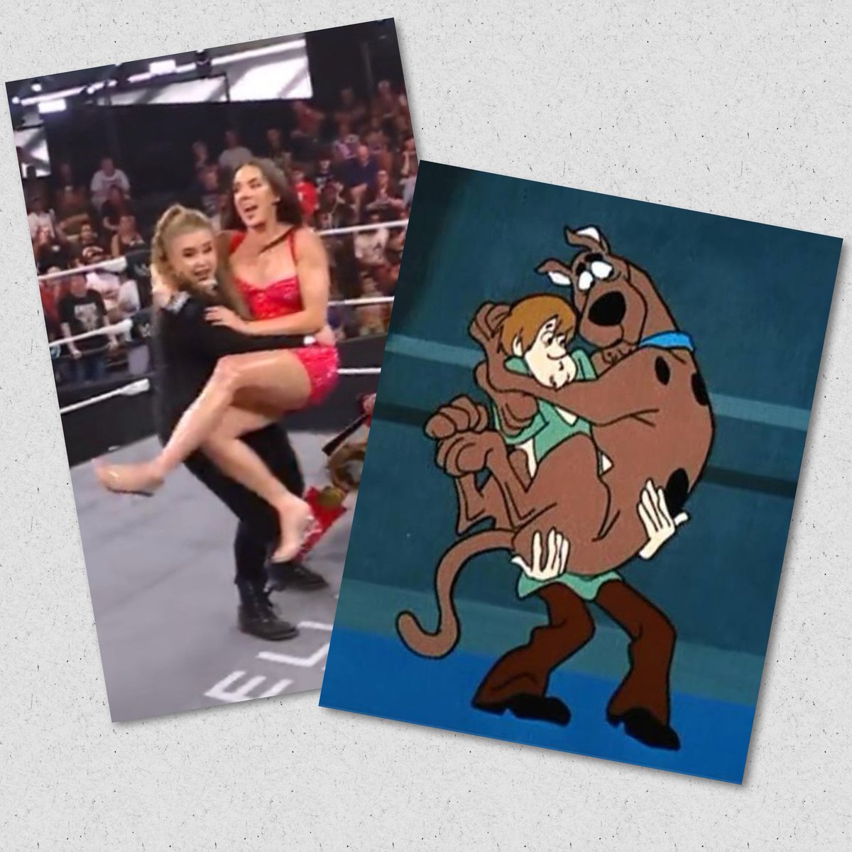 Mandy Reilly tweet media