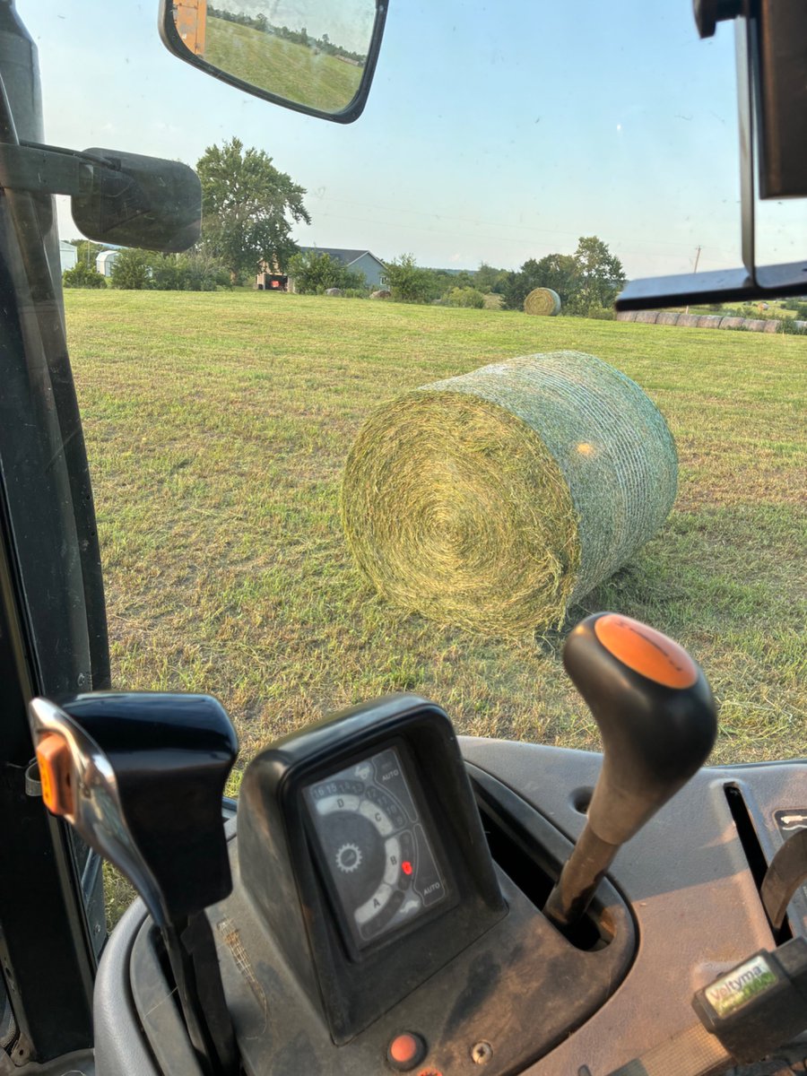Redcowsforever's tweet image. Sometimes even a dumb cowboy gets it right. Cows are going to love this come winter time. It’s even making several bales for third cutting.