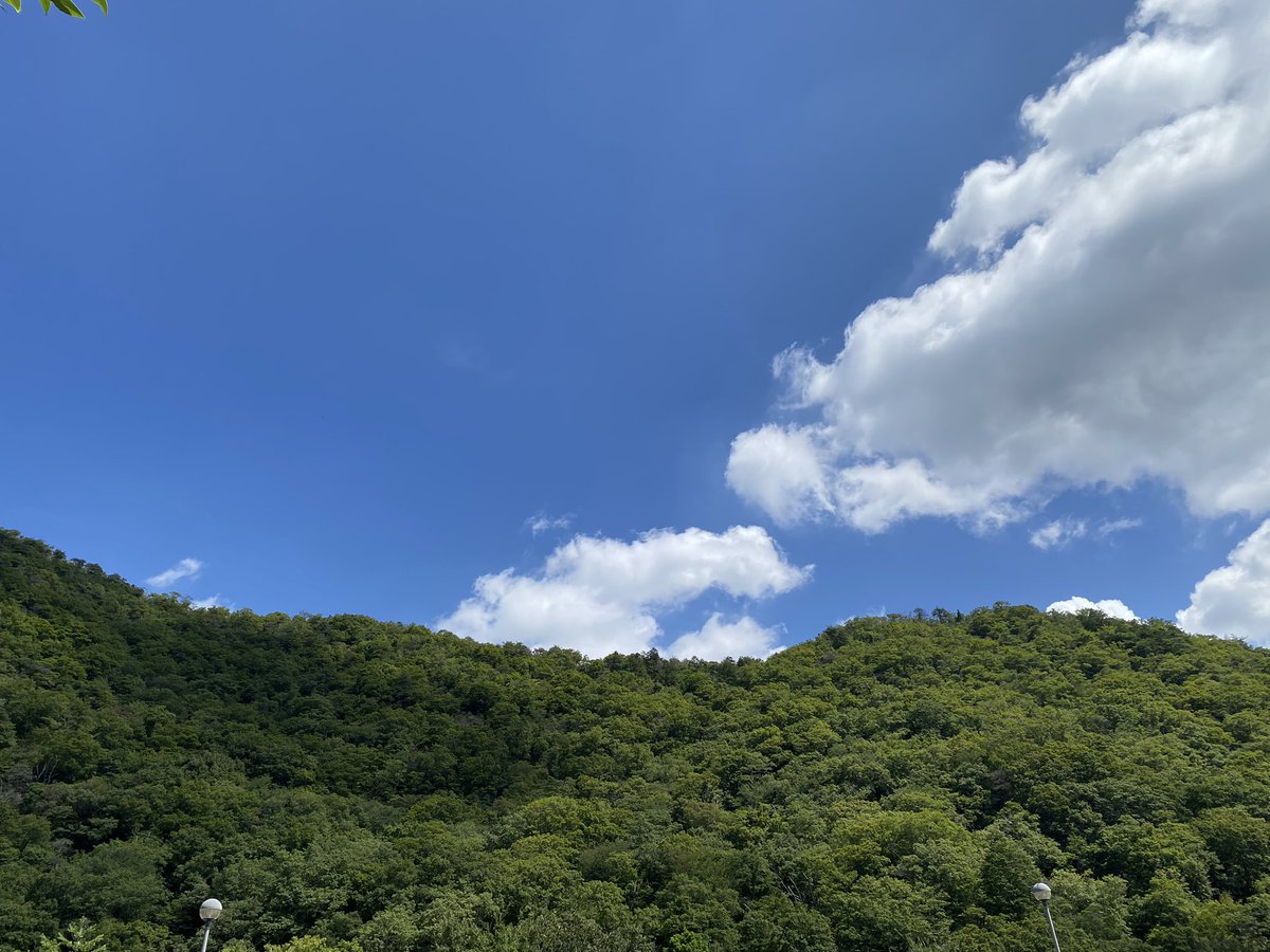 Midori_M🍀 tweet media