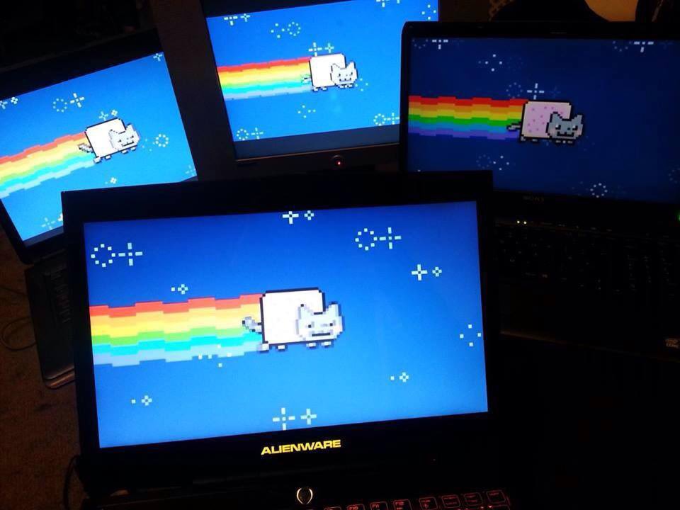 Nyan Cat (@nyancat) on Twitter photo 